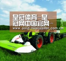 关于皇冠网