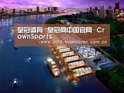 案例展示八