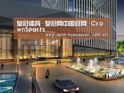 案例展示二